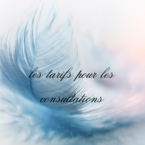 vous trouverez ici les tarifs pour les consultations d'un voyage au coeur de soi.