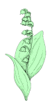 belle-fleur-de-muguet-45303-660x400